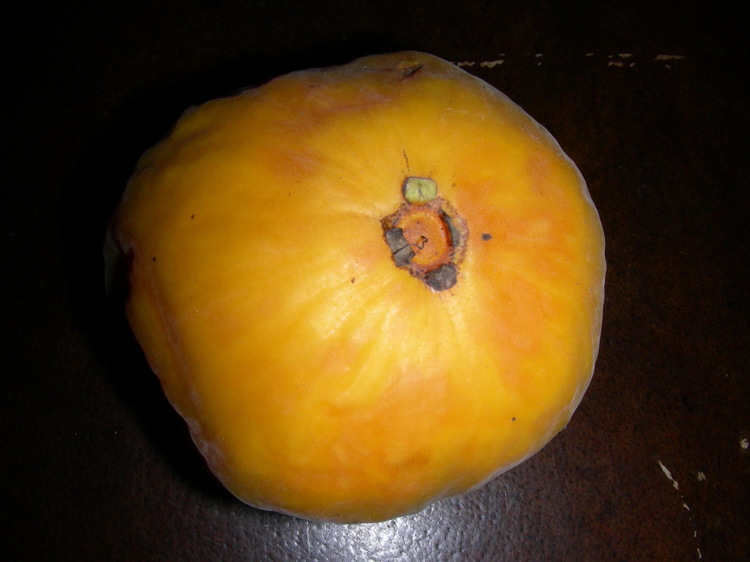 Eugenia stipitata ssp. sororia 2 