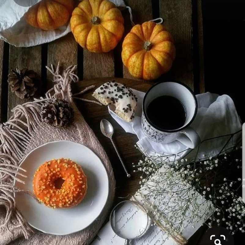 Screenshot_20231008_214004_Pinterest