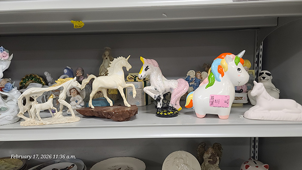 [Image: 20260217-113640.jpg]