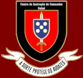 CICmds-Guin-280