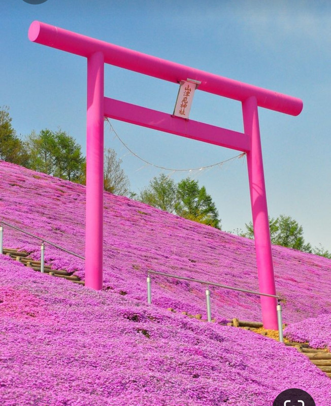 Screenshot_20230514_153319_Pinterest