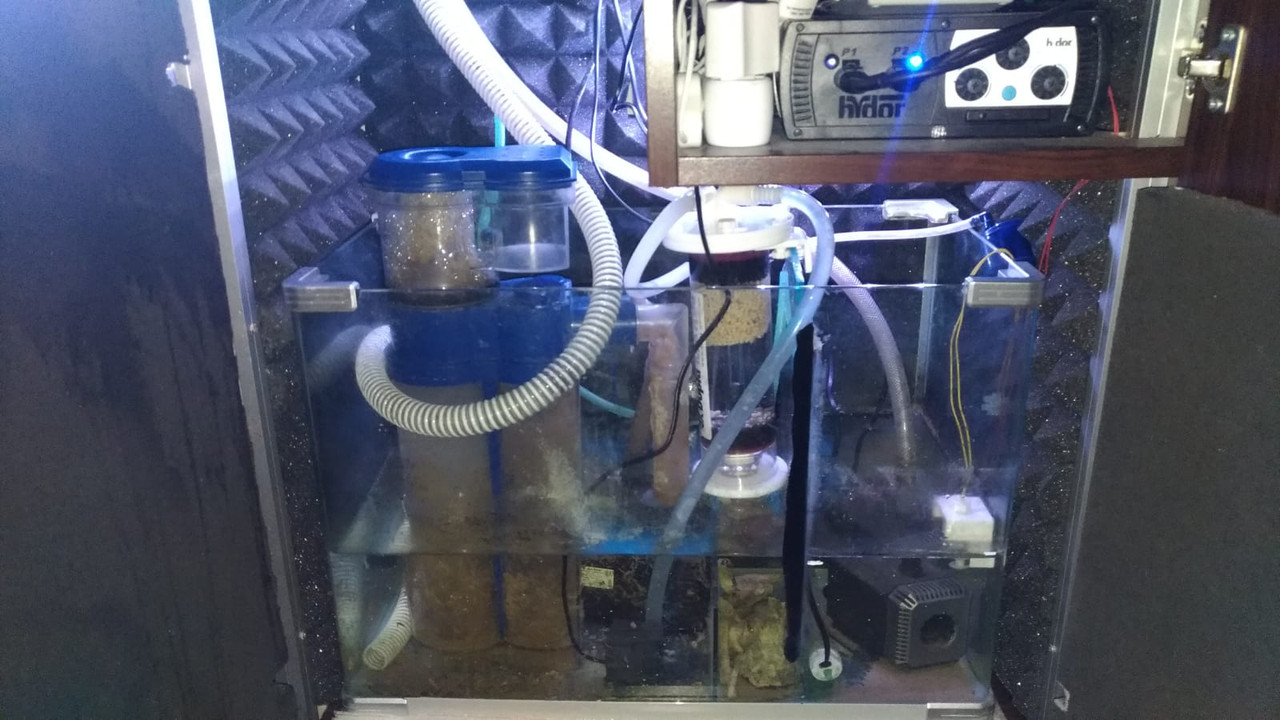 WhatsApp Image 2019-01-06 at 13.09.11(2)