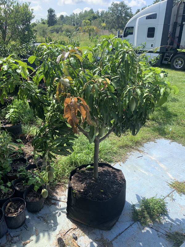 FBC2E84A-AAF5-4137-A070-BE29A4F80A4C