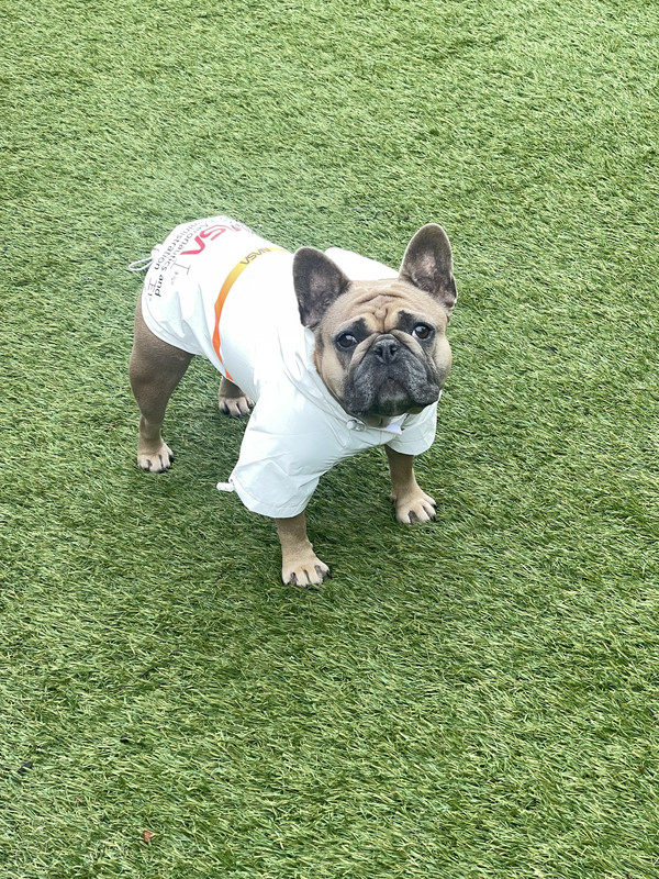 2F90F140-2D75-428B-8F4B-D7A30732BB66