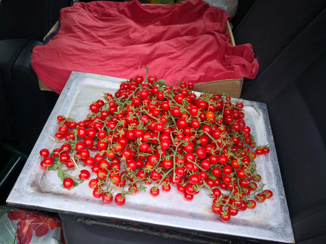 B8F3BB40-0F92-44ED-A4BC-245D256891F4