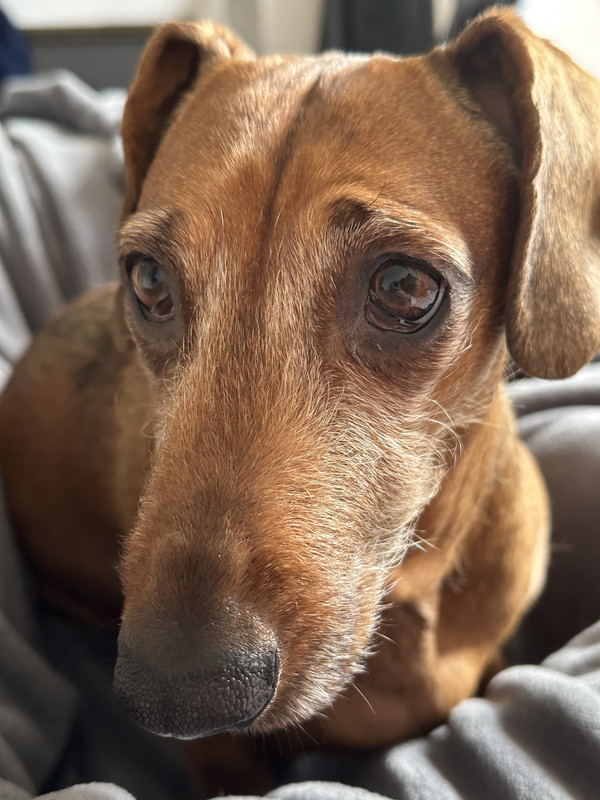 [Image: IMG-3039.jpg]