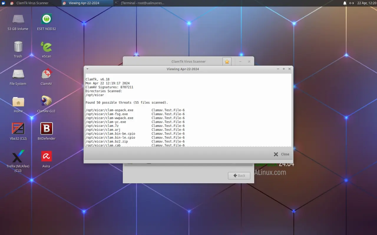 7.webp