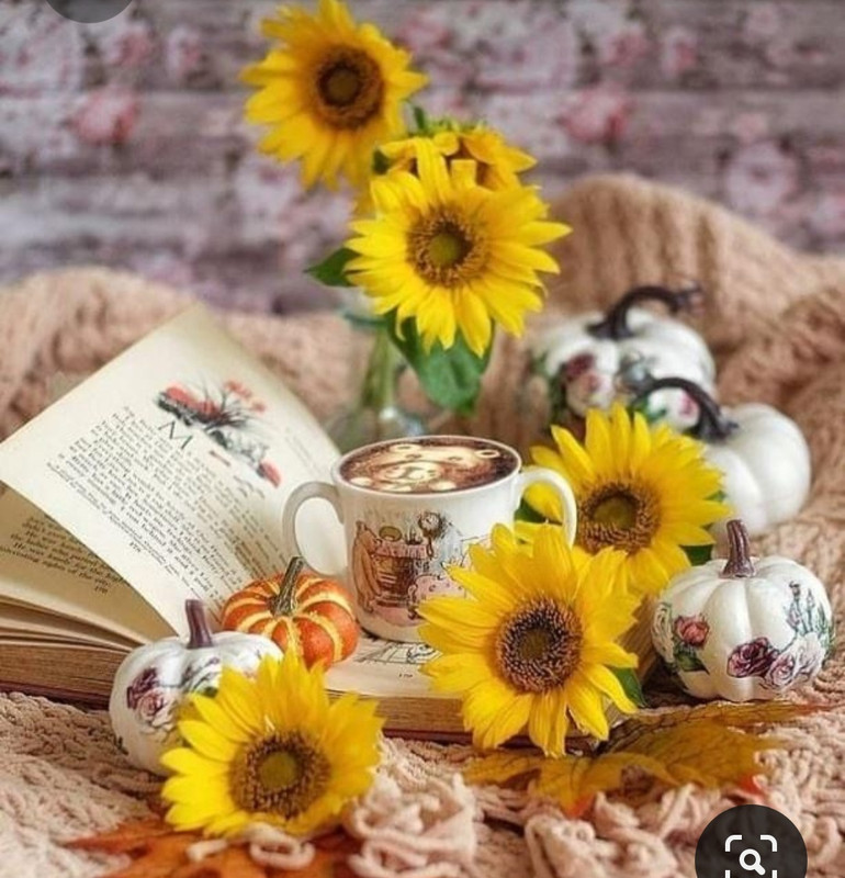 Screenshot_20230616_124657_Pinterest