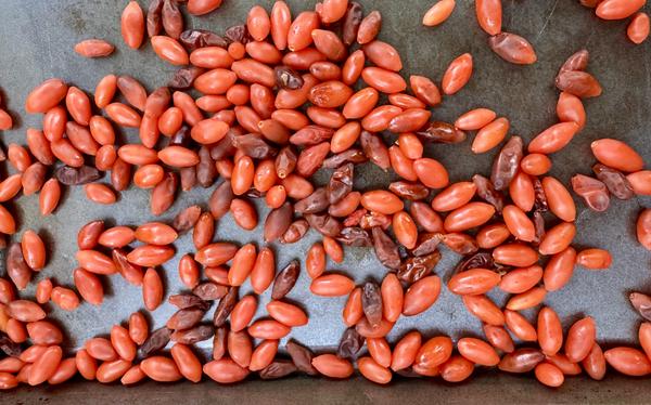 [Image: Full-Size-Render.jpg]