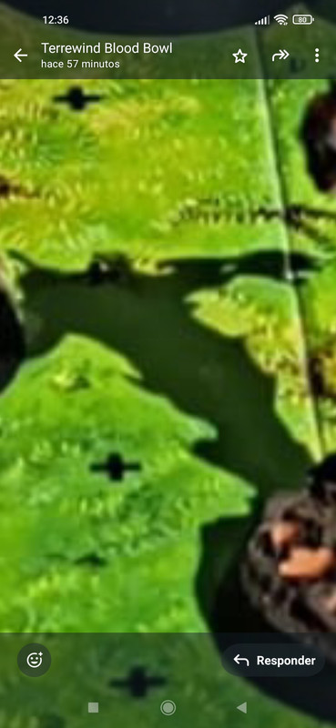 Screenshot 2026 04 03 12 36 08 705 com whatsapp