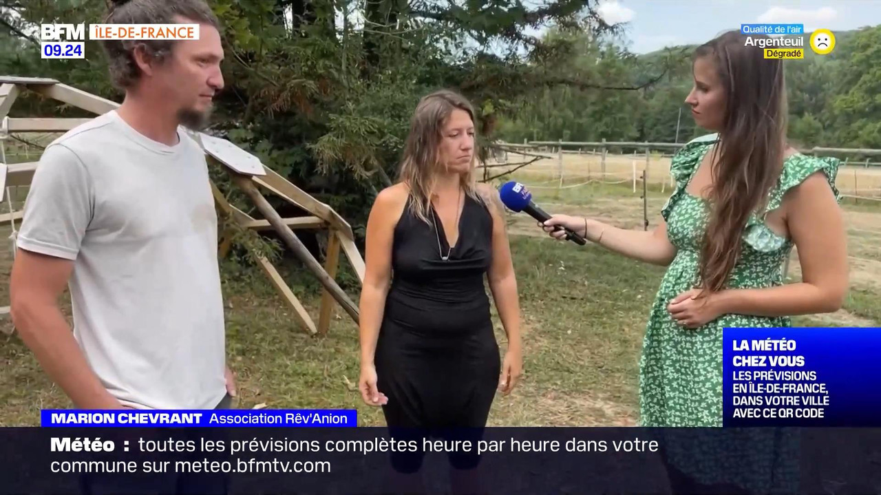 vlc-record-2022-08-13-16h22m53s-08.13 - 07.55.51-1.m4v-.mp4_snapshot_09.11_[2022.08.13_17.17.26]