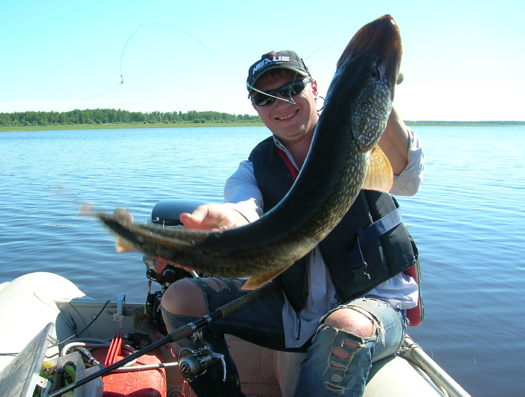 рыбу рукой брать джиг спиннинг судак щука мастер-класс Куляпин Андрей катушка приманка (5)