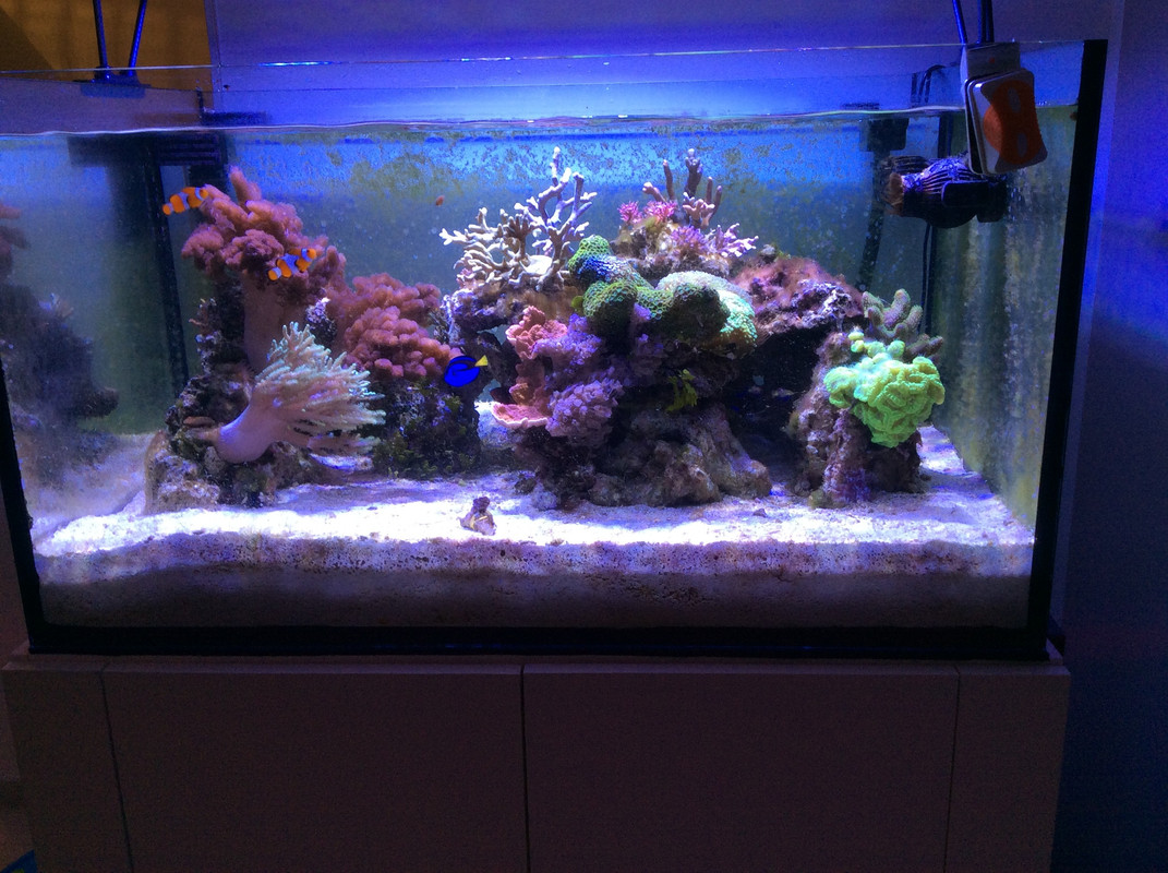 D88E4675-9EAB-4CB5-B038-A20E309F92A8