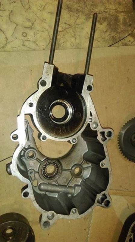 12048859_10208019908239533_489368380_n