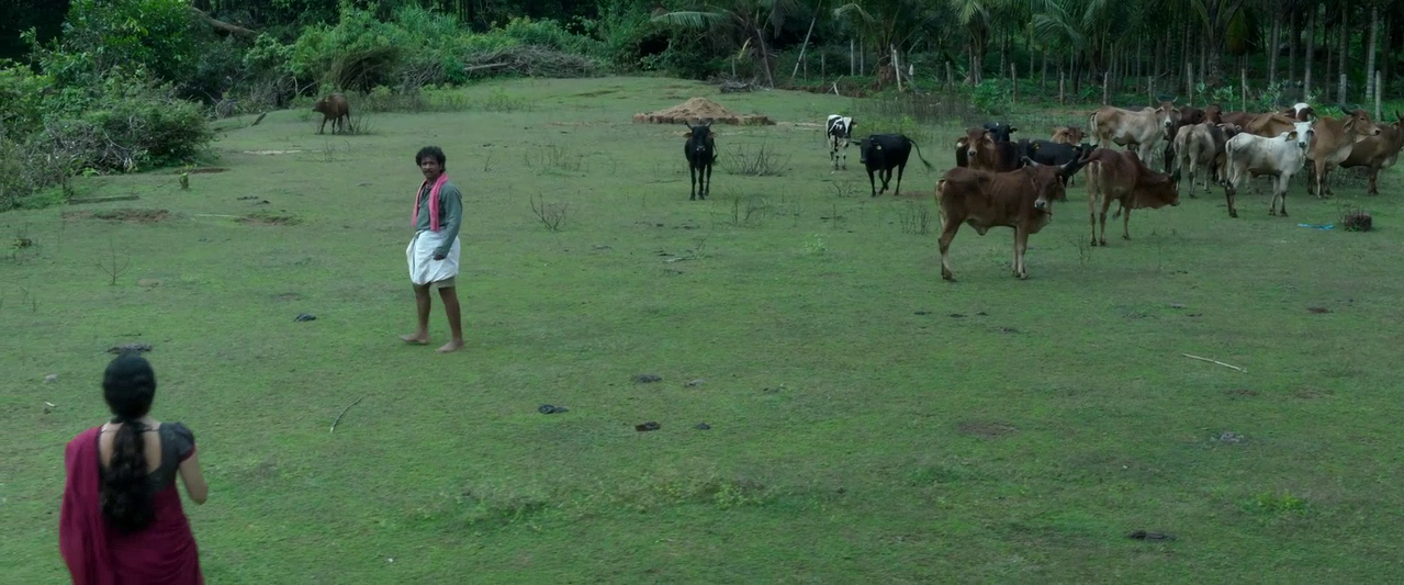 vlcsnap 2026 02 14 10h12m29s815