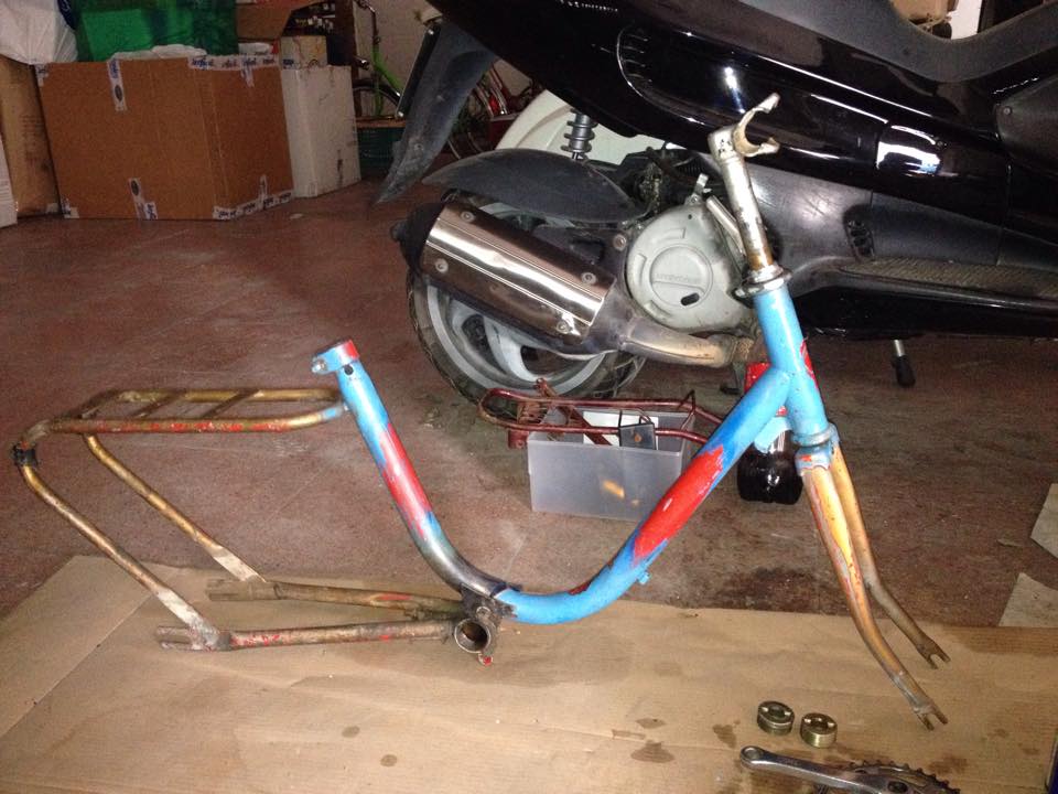 10729001_10203196977825791_1922234816_n