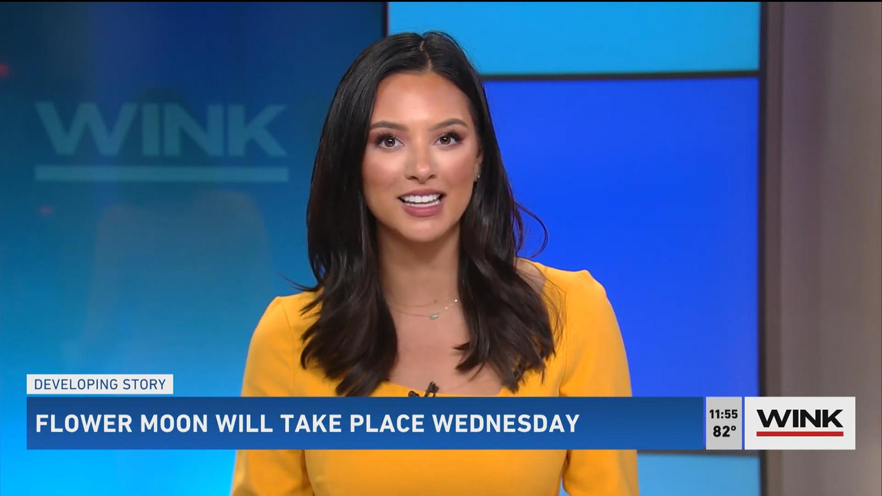 05.23 - 16.30.00 - WINK News @ 11 30AM. Local news, sports and weathe....ts_snapshot_20.24_[2021.05.