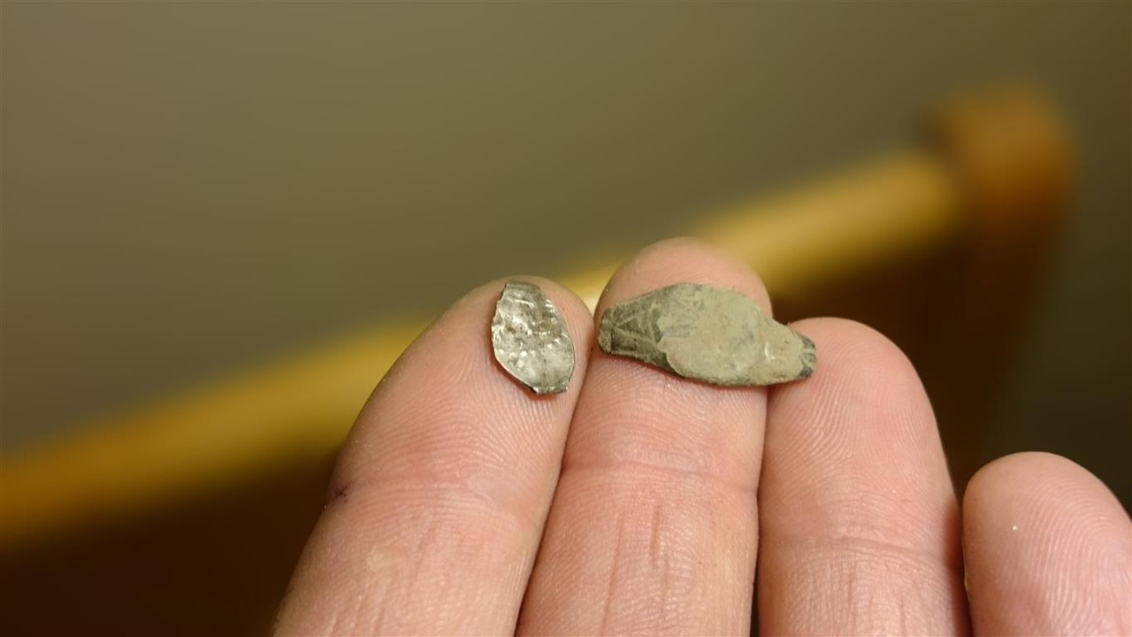 20171006_175636 (Medium)