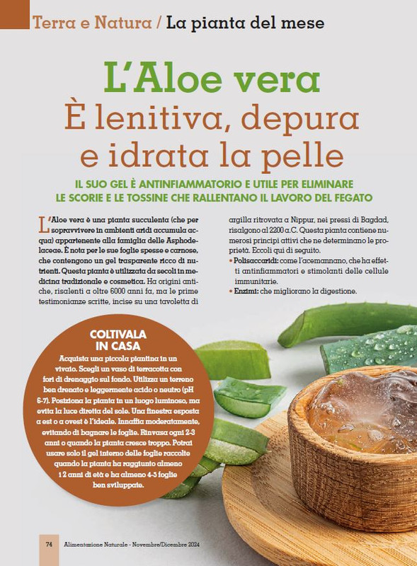 Alim Nat Nov-Dic 2024 (11)