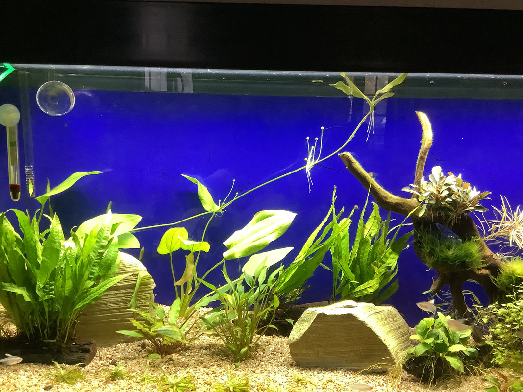 4E2FD4FD-820E-459E-A2D6-08706869B5AA