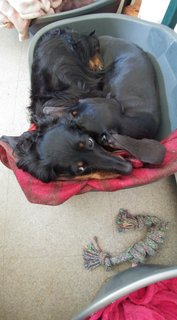 [Image: berces-Par-Visionconf2.jpg]