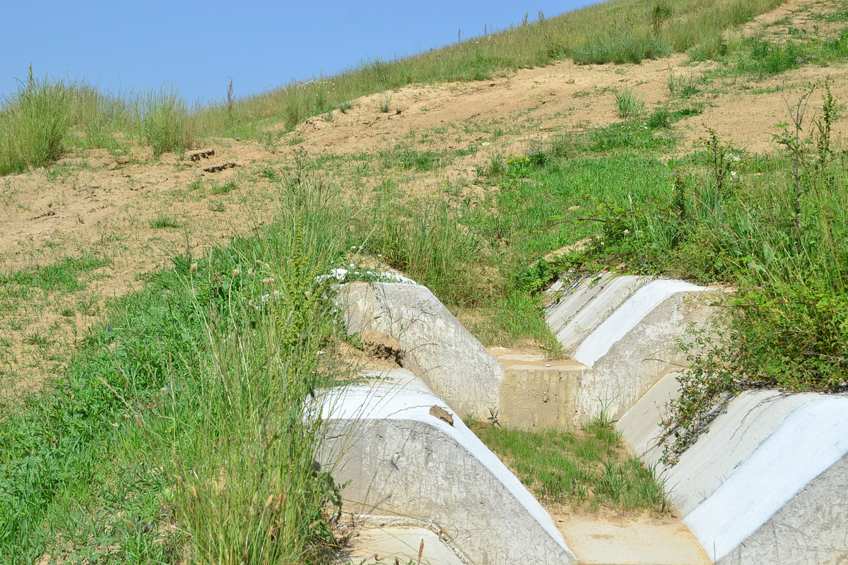 DSC_4129