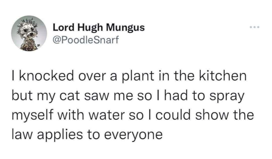 knocked-over-plant.jpg