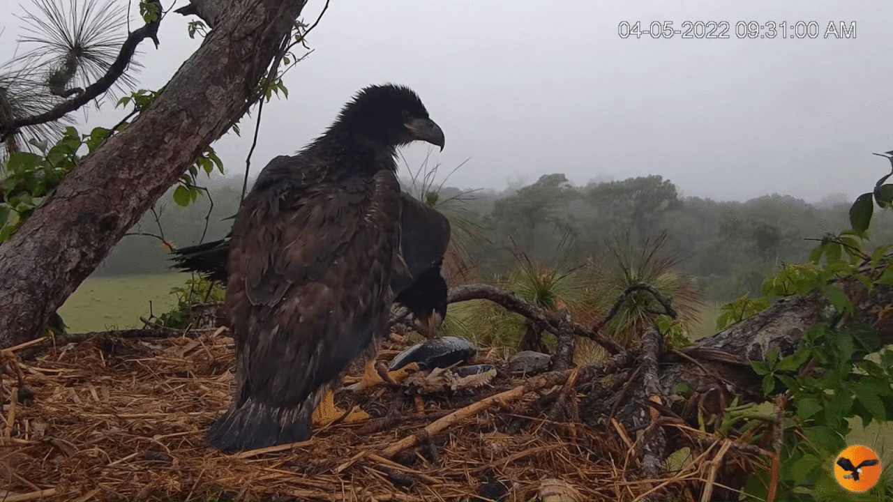 Webp.net-gifmaker (8)