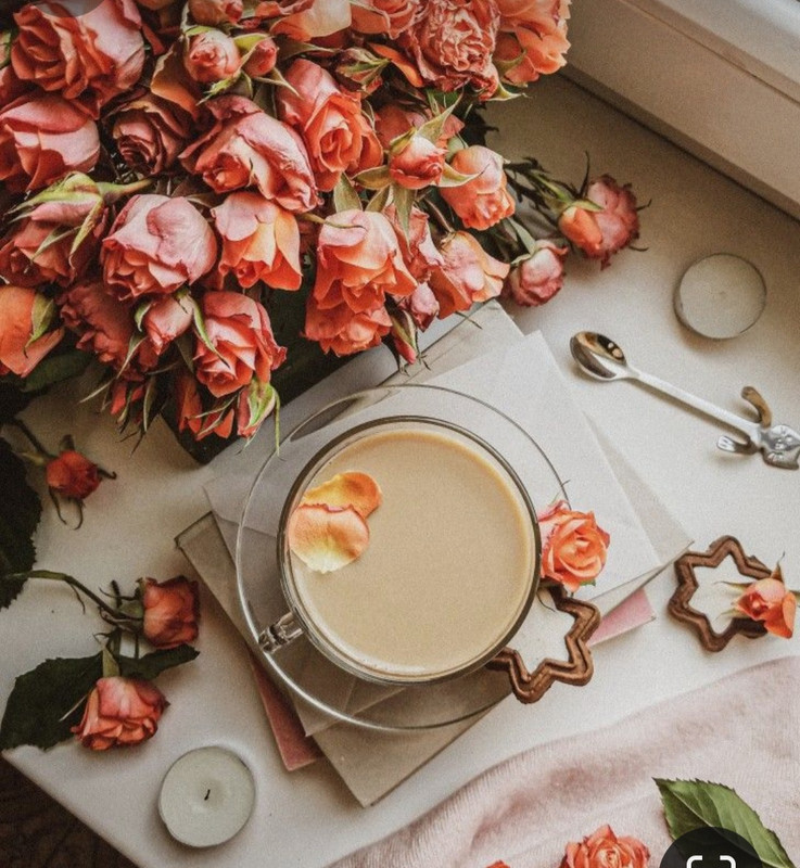 Screenshot_20230905_005800_Pinterest