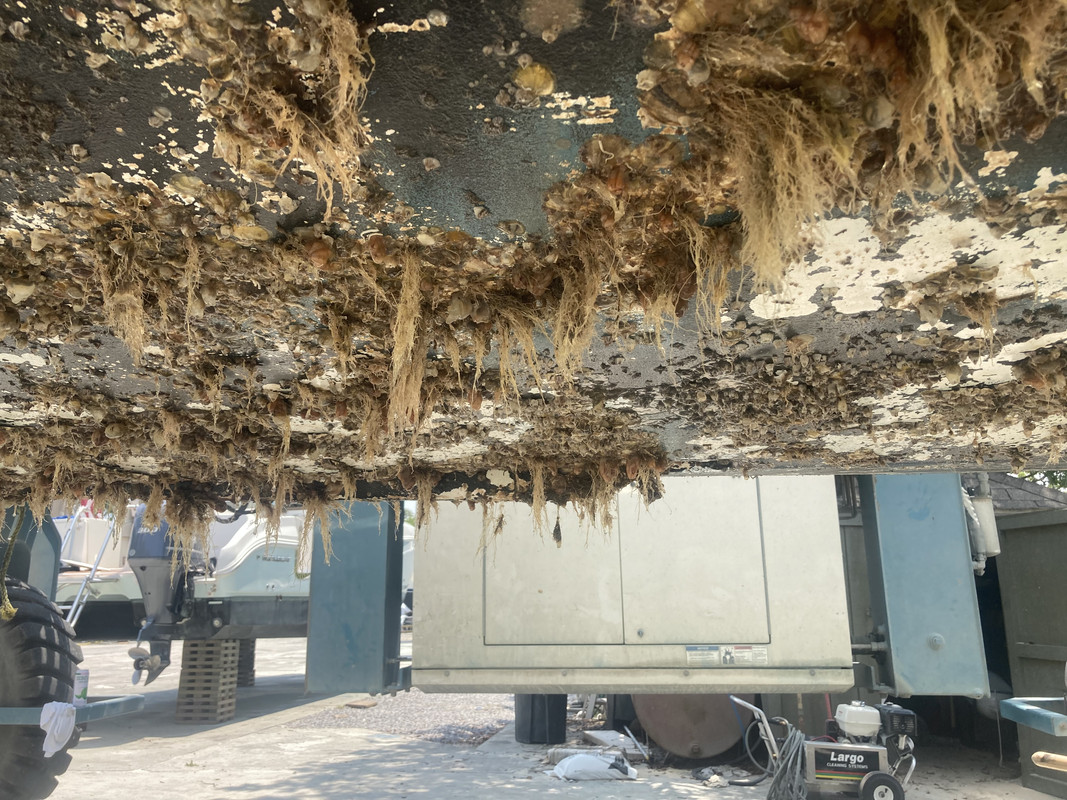 F0D491A6-D9FB-45FB-91EC-6D839BDC8FB9