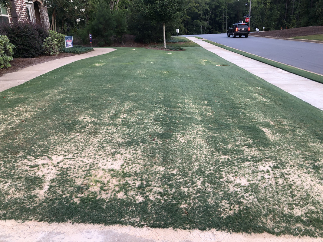 6561E7BB-873B-4AC9-BECC-4F3E098FE655