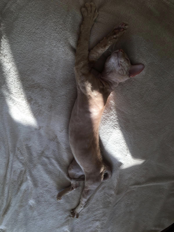 CA7BC430-BB40-434F-99B0-714CEDCC3D90