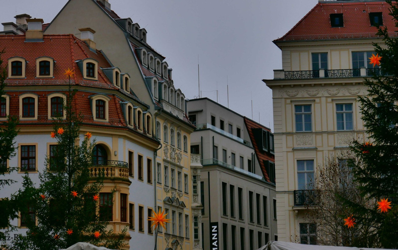 P1250439.jpg