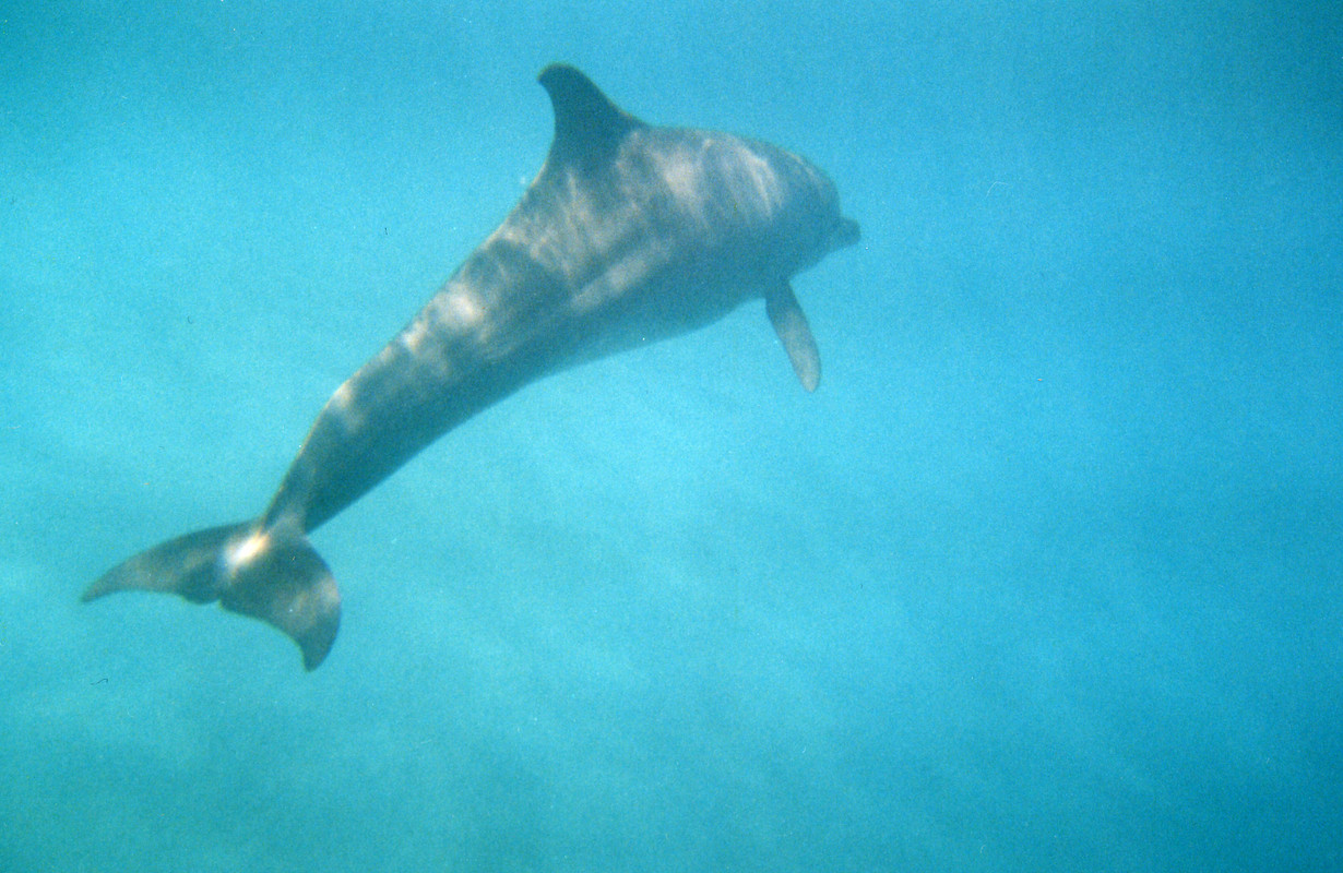 ХИЛТОН ЕГИПЕТ (15)