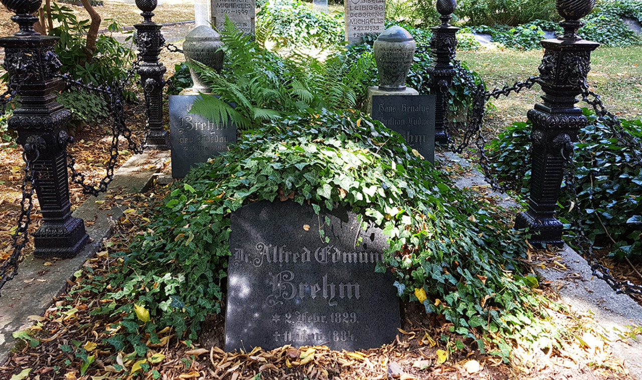 Ruhestaette-Alfred-Brehm-Brehms-Tierwelt-Renthendorf-Friedhof-1647x975