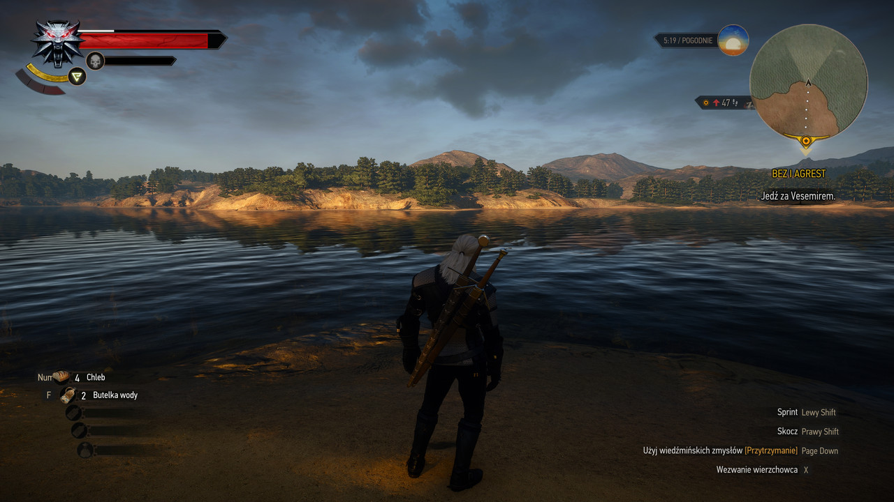witcher3_2023_01_10_14_56_28_833