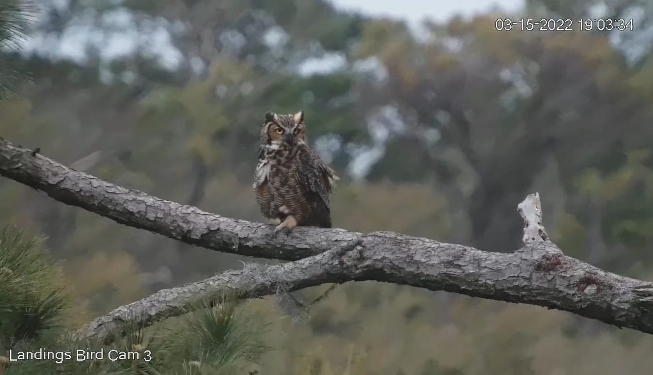 WhatsApp Image 2022-03-21 at 8.40.33 PM (2)