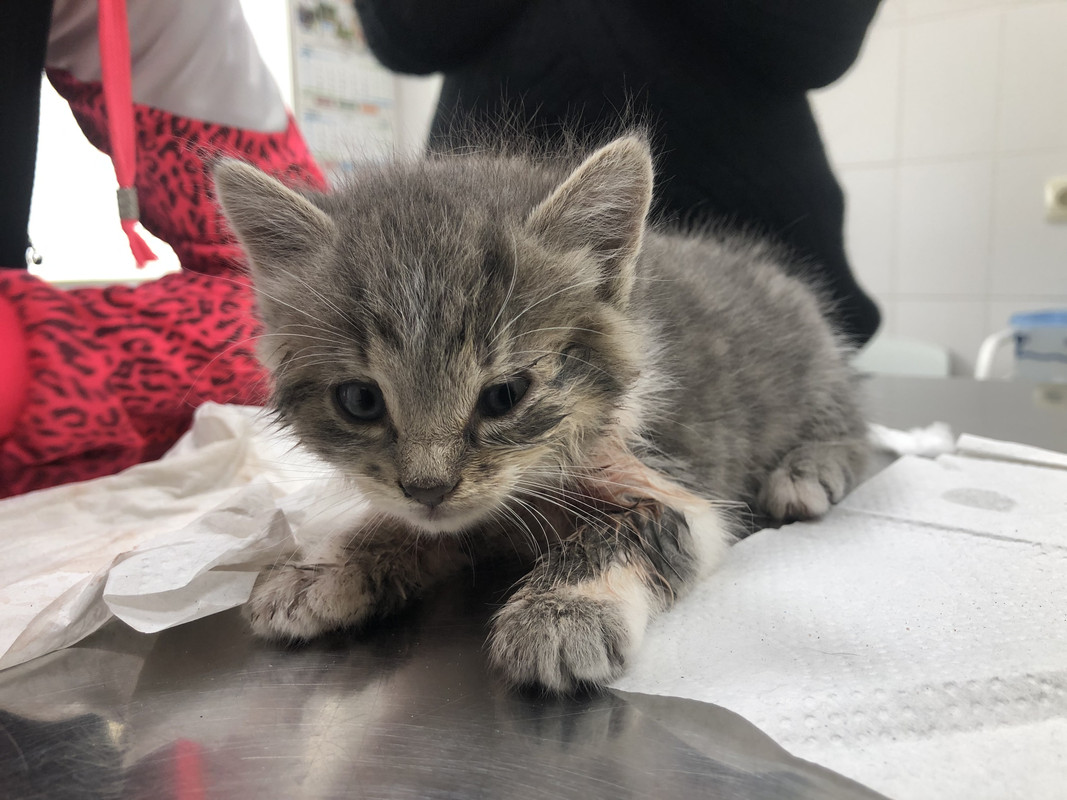 1E9EA298-AC03-4105-B7E8-0E945D0134C0