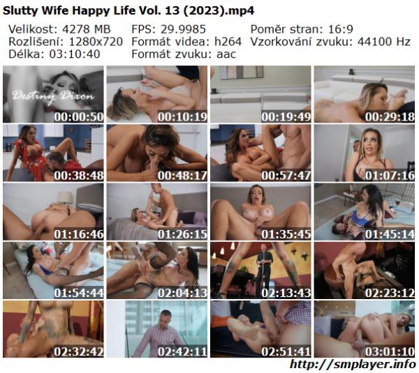 Slutty Wife Happy Life Vol. 13 (2023)