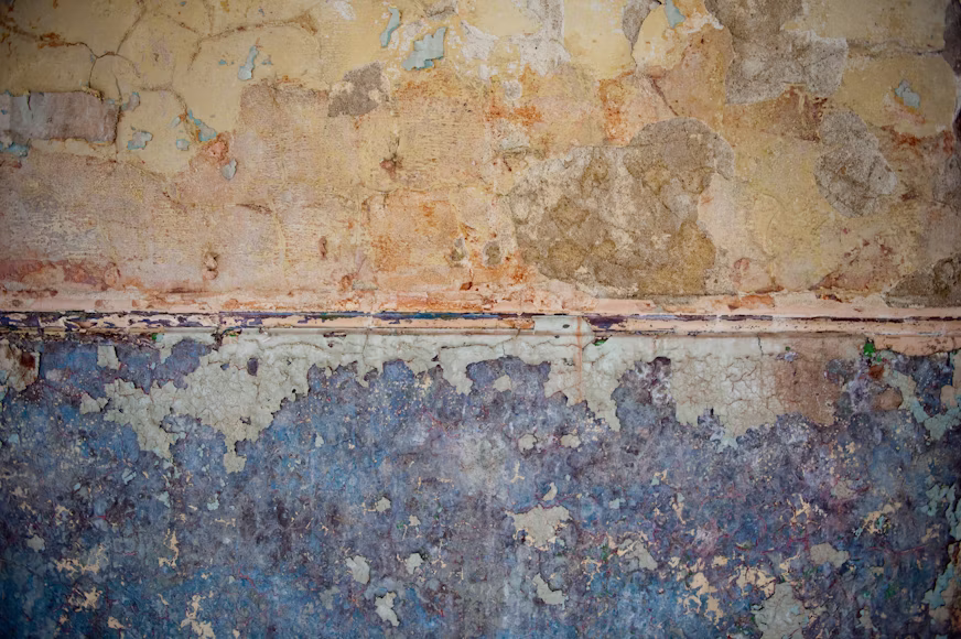 Professional mold removal technician in protective suit remediating mold in a Green Bay home