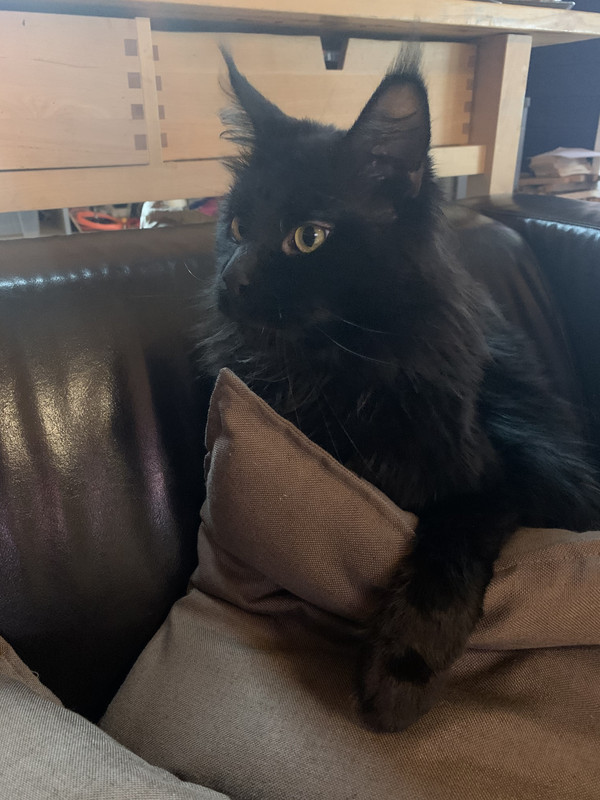 FA8CD8C9-347D-4B93-B9D9-D918BC392AD9