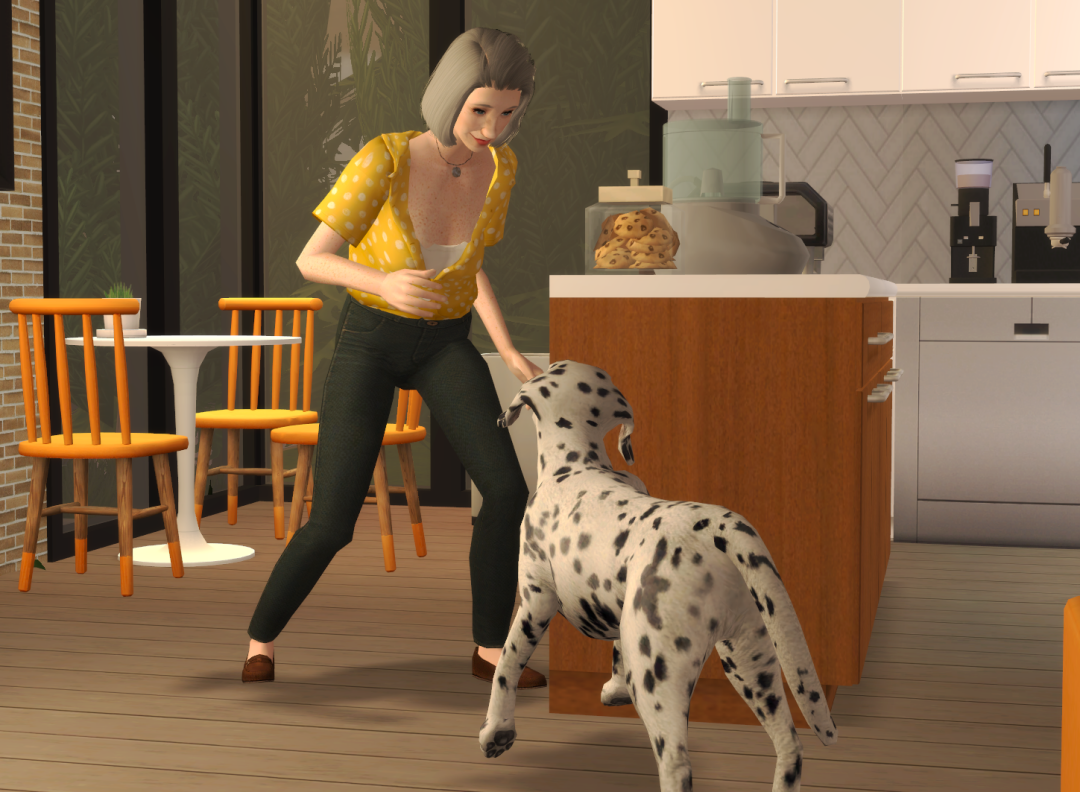 Sims2-EP9-RPC-2025-01-01-16-15-26-36