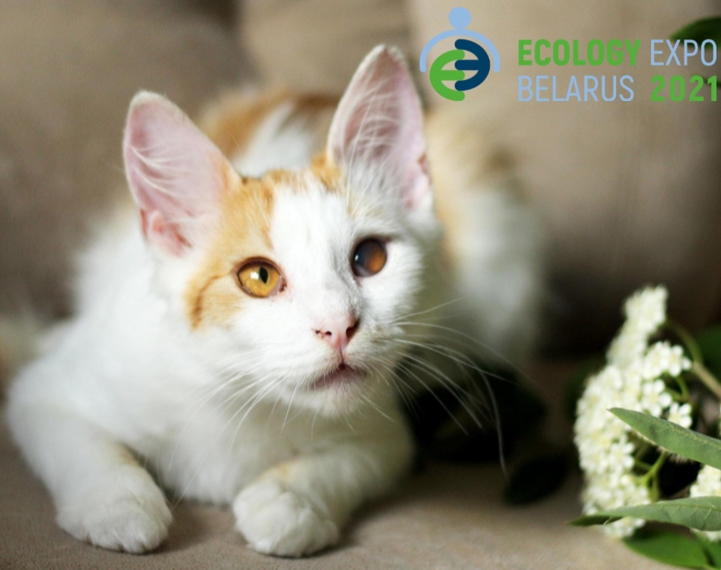 Публикация для соцсетей 800x800  пикс (1)