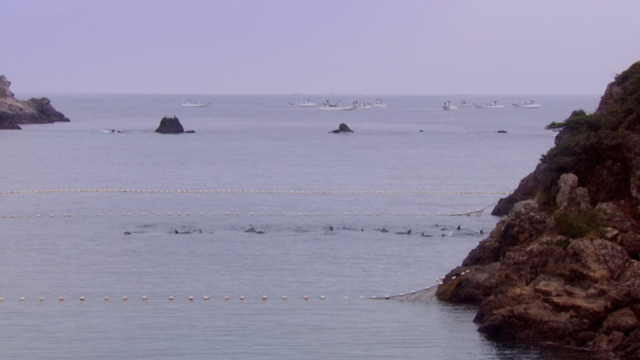 The Cove (2009) (1080p BluRay x265 Silence)-5