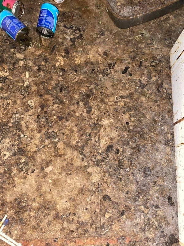 525AD5EF-98B1-448E-B555-786DB064276C