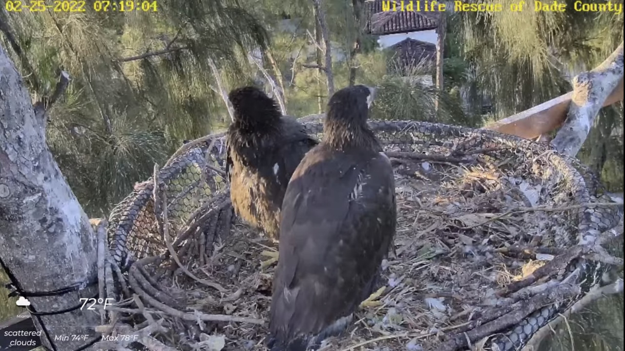 95C71A26-AEE2-4C44-AF80-41788AEAE328