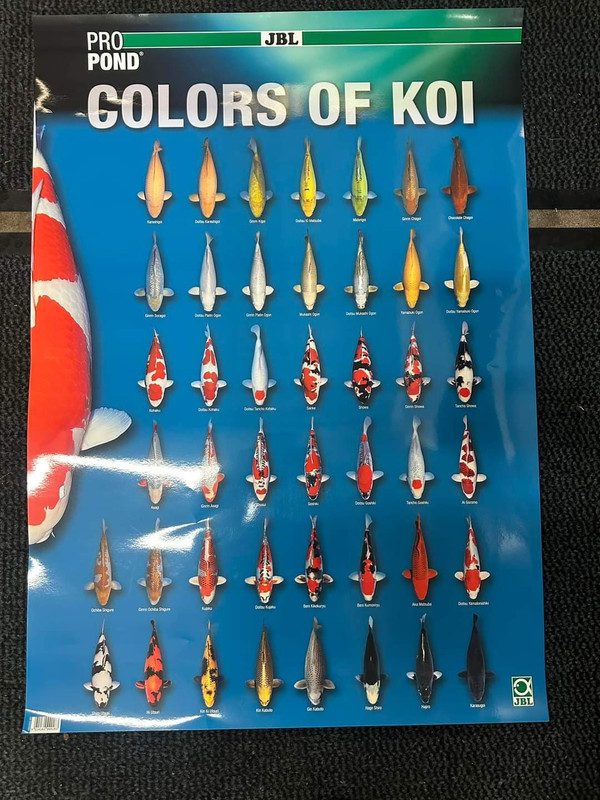 FB_IMG_1678139161978