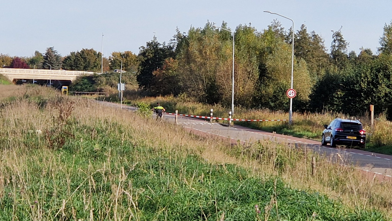 Ffc-KW3-VWIAYphae.jpg