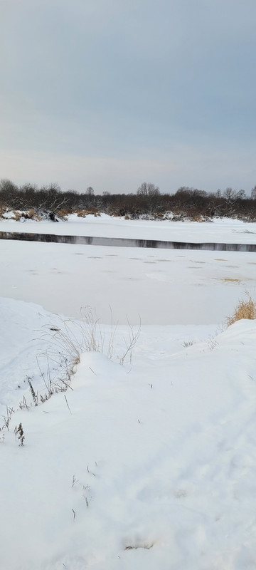 Еськи 25.11.2023