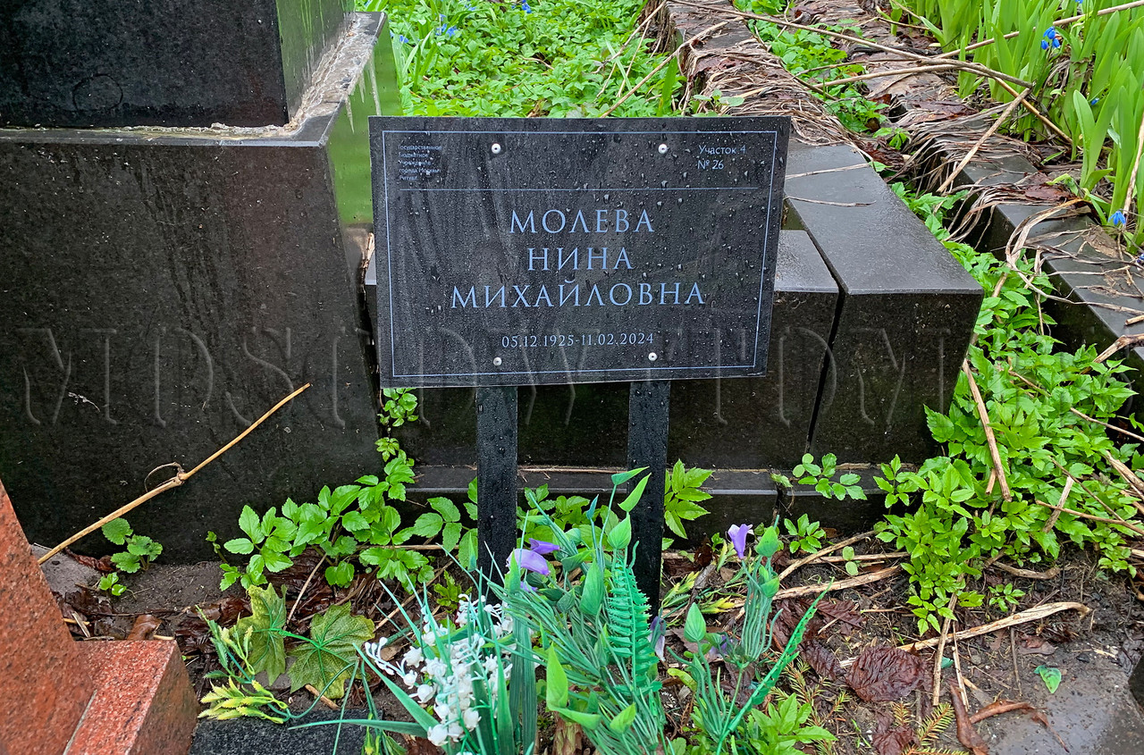 moleva-nm